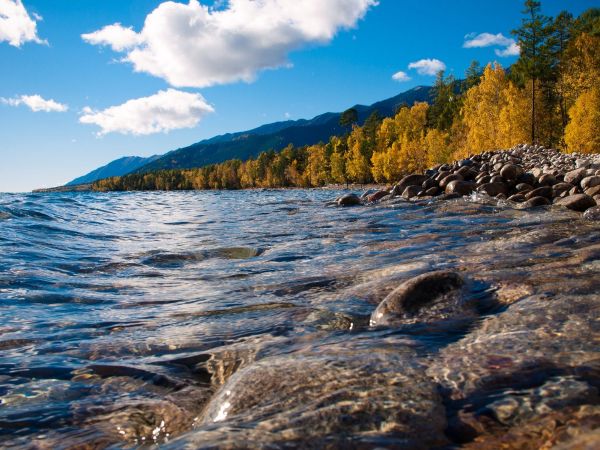 Международная летняя школа-семинар «Междисциплинарные подходы к управлению особо охраняемыми природными территориями Байкальского региона...»