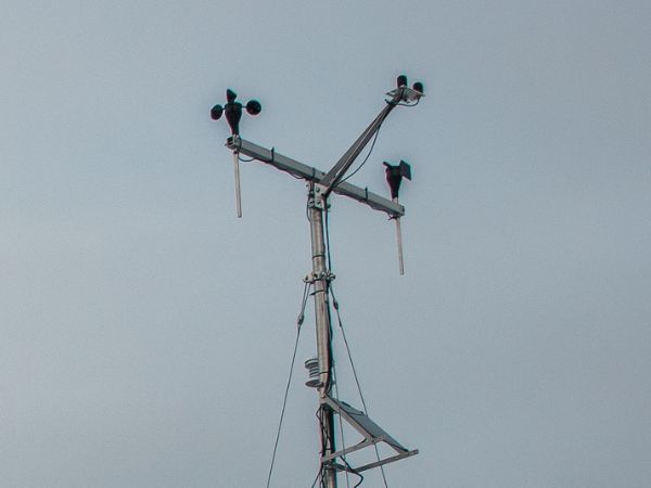 Современная автономная метеостанция