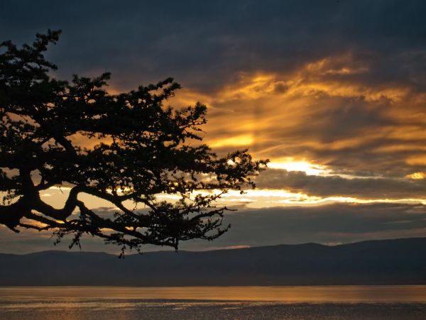 Прогноз учебного бюро погоды