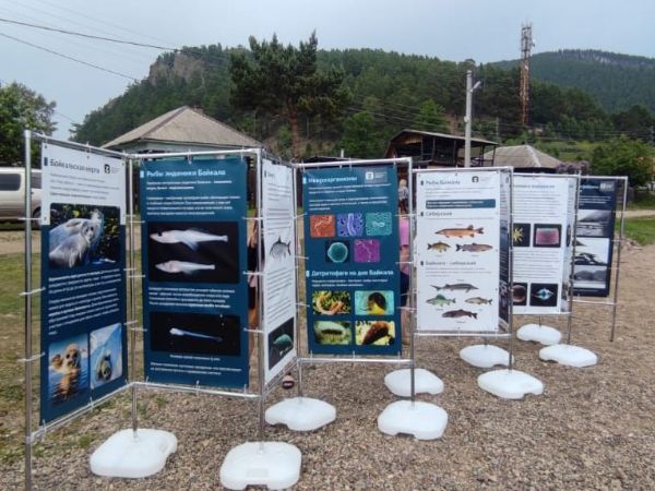 Стенды для проведения лекций